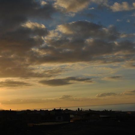 Discover The North Of The Island Of Tenerife 라 라구나 외부 사진