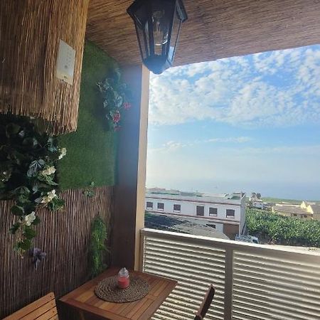 Discover The North Of The Island Of Tenerife 라 라구나 외부 사진