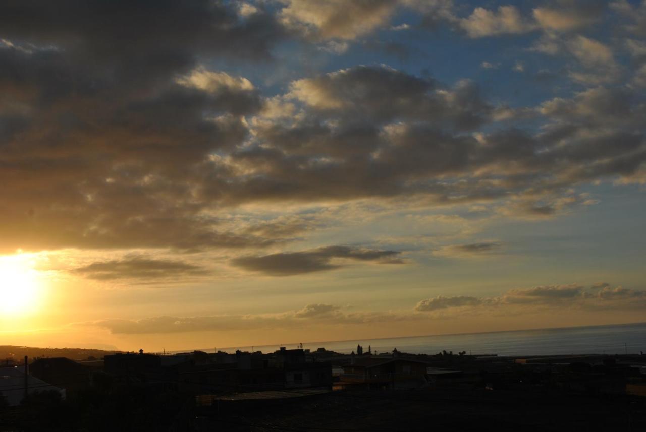 Discover The North Of The Island Of Tenerife 라 라구나 외부 사진